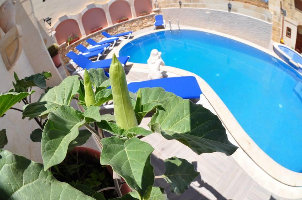 Mikiel U Rosa Holiday Farmhouse With Large Private Pool Zebbug  Ngoại thất bức ảnh